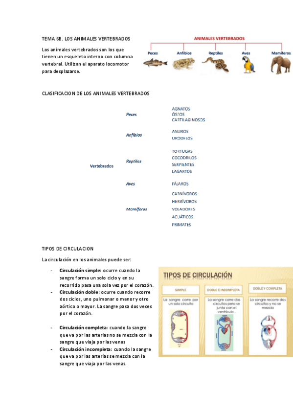 Miniatura del documento TEMA-6B.pdf