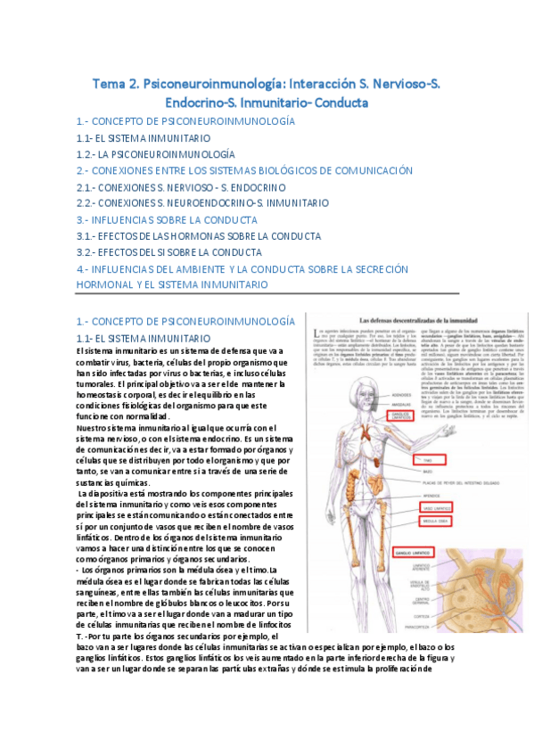Miniatura del documento TEMA-2.pdf
