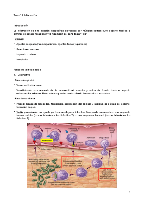 Miniatura del documento tema-11-patogen.pdf