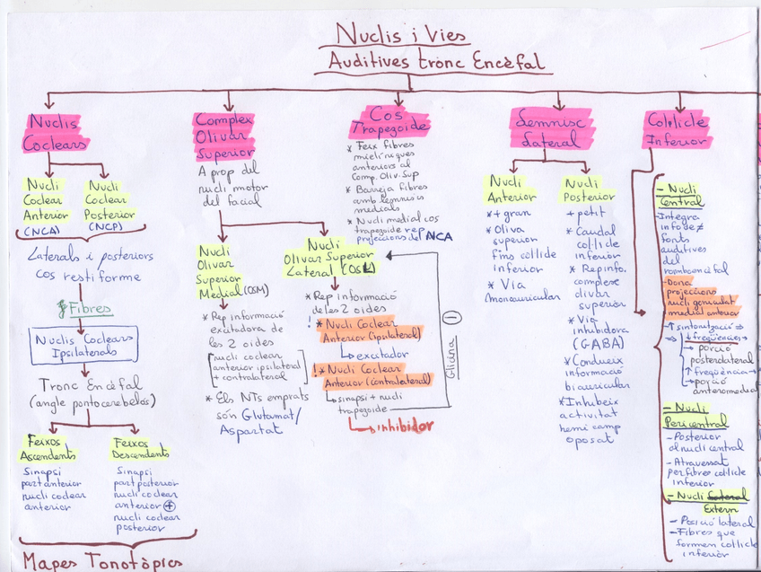Miniatura del documento Sistema Auditiu 2.jpg