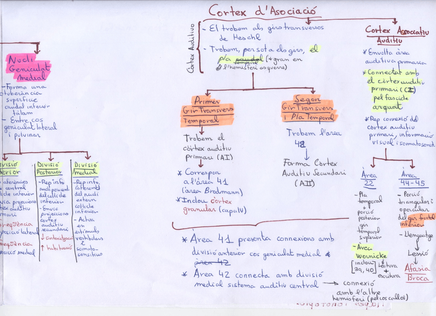 Miniatura del documento Sistema Auditiu 3.jpg