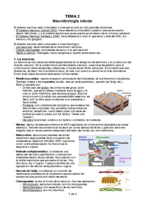 Miniatura del documento Tema 2 FB