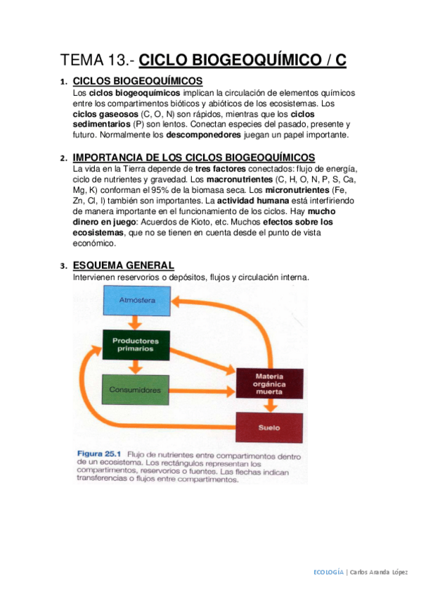 Miniatura del documento Tema 13.pdf