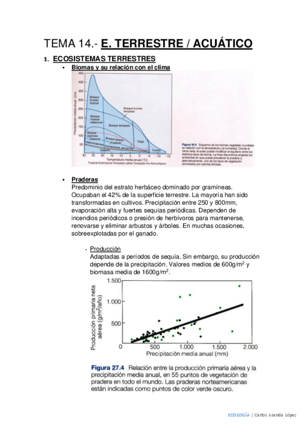 Miniatura del documento Tema 14.pdf
