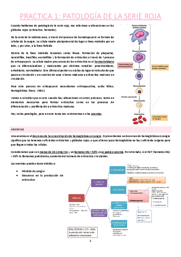 Miniatura del documento Practica-1.pdf