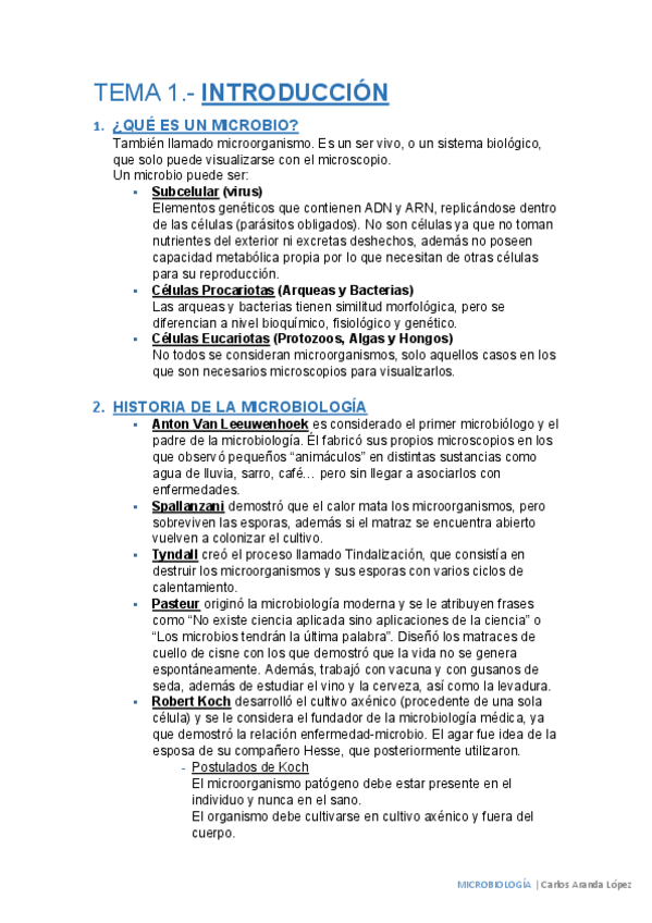 Miniatura del documento Tema 1.pdf
