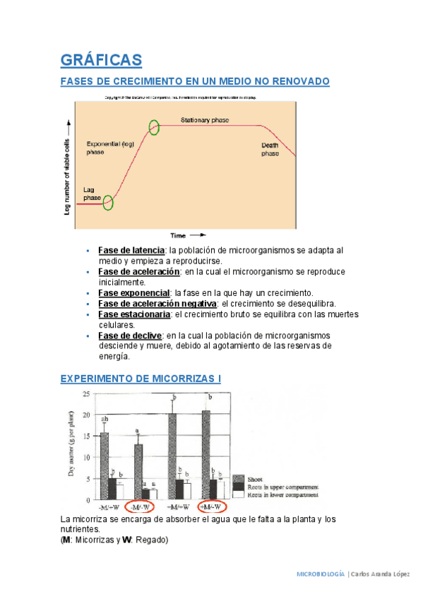 Miniatura del documento Gráficas.pdf