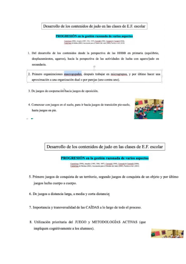 Miniatura del documento UNIDAD-DICACTICA-JUDO-PASOS-A-SEGUIR.pdf