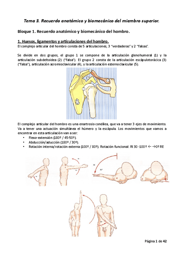 Miniatura del documento Tema-3.pdf