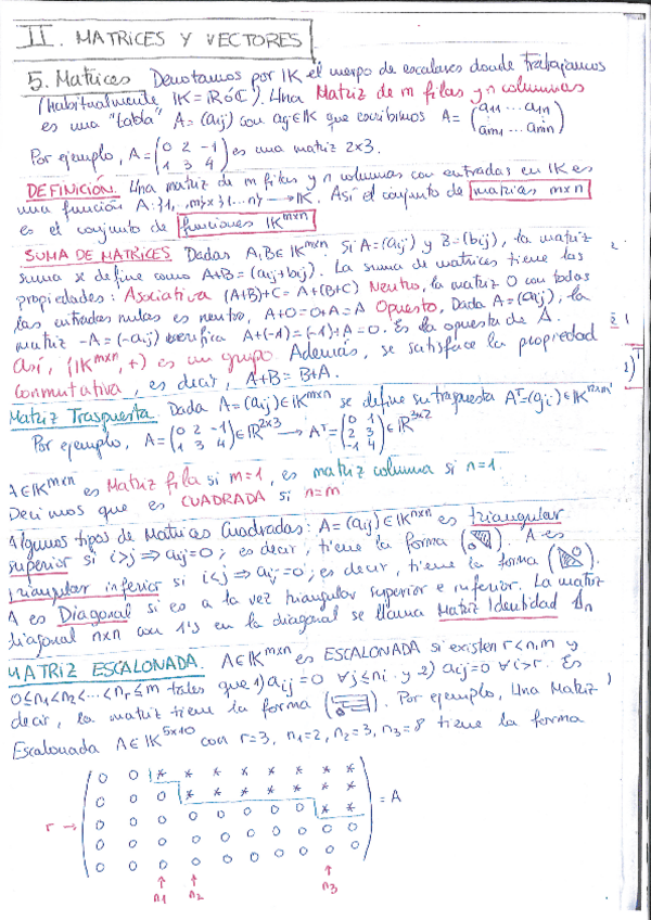 Miniatura del documento Matrices-apuntes.pdf