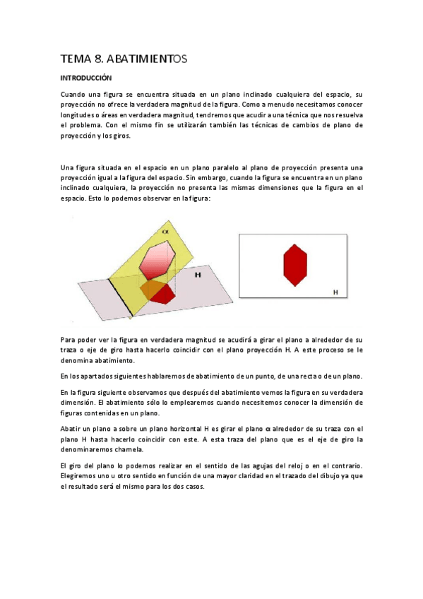 Miniatura del documento TEMA8-Abatimientos.pdf