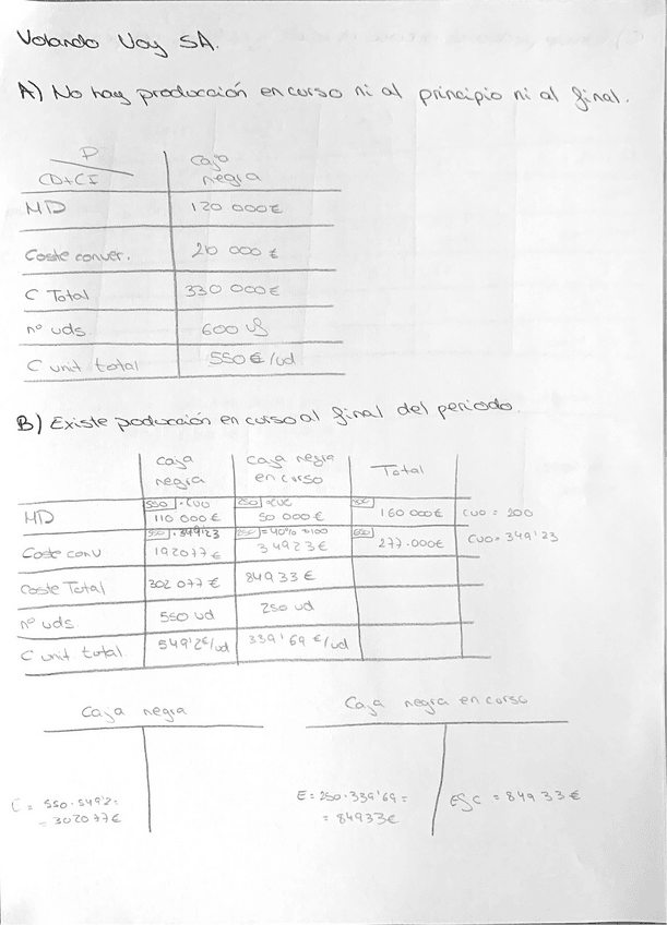Miniatura del documento VOLANDO-VOY-SA.pdf