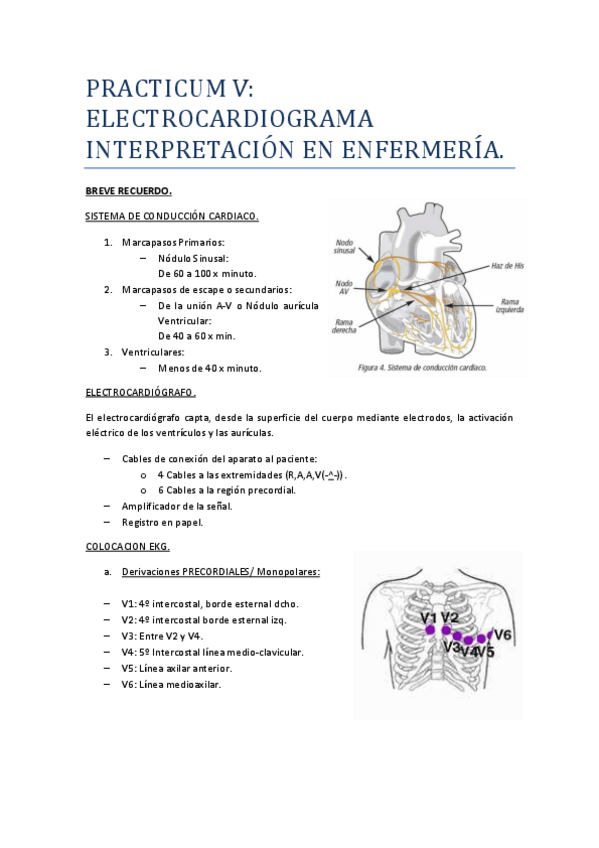 Miniatura del documento Apuntes-completos-PRACTICUM-V.pdf