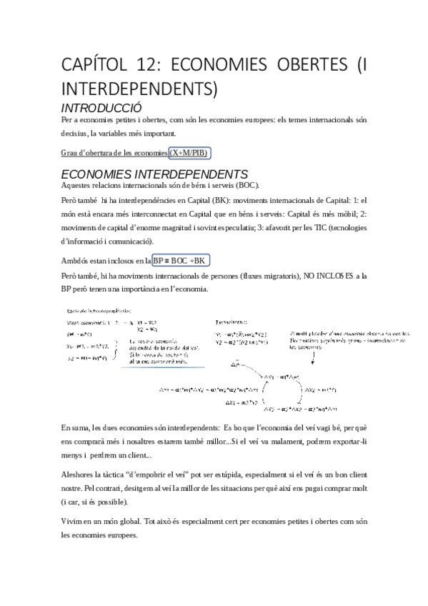 Miniatura del documento resum-cap.pdf
