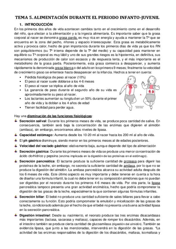 Miniatura del documento TEMA-5.pdf