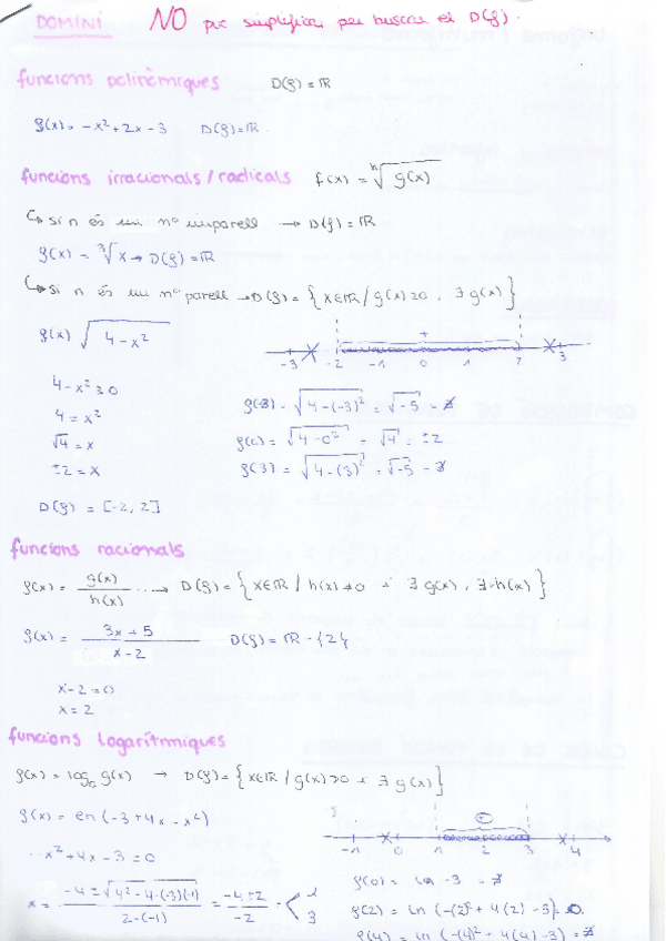 Miniatura del documento resum-domini.pdf