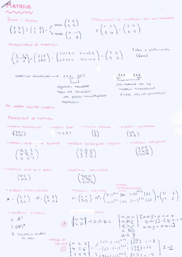Miniatura del documento resum-matrius.pdf
