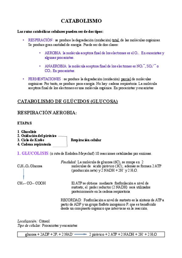 Miniatura del documento Catabolismo.pdf