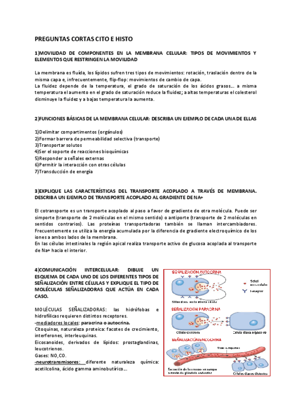 Miniatura del documento EXAMEN-CITO.pdf
