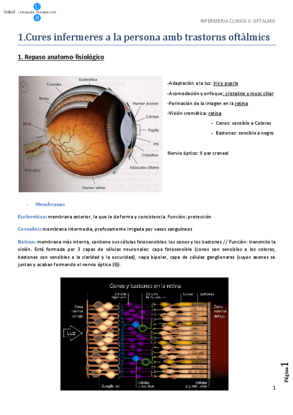 Miniatura del documento OFTALMO.pdf