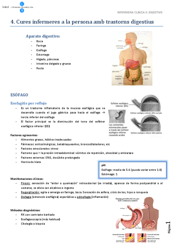 Miniatura del documento digestivo.pdf
