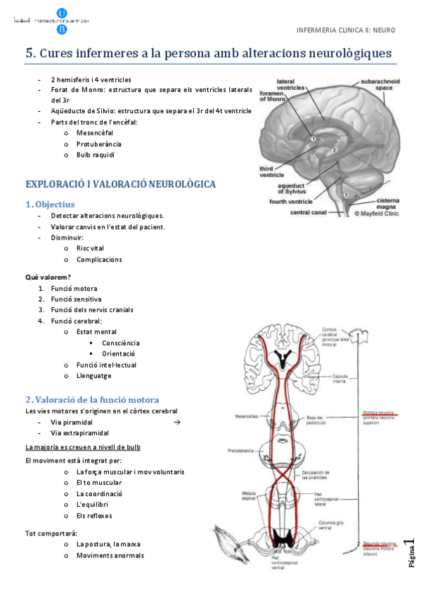 Miniatura del documento neuro.pdf