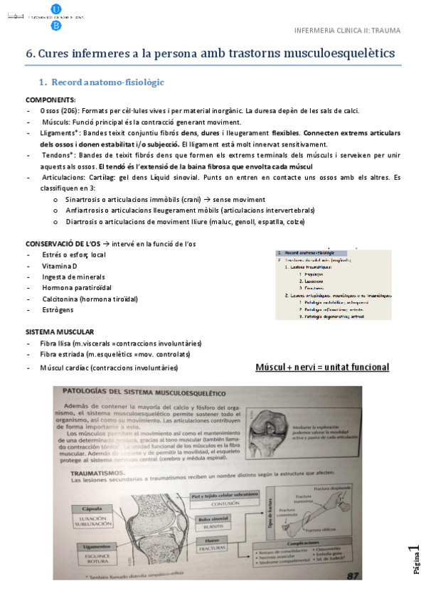 Miniatura del documento trauma.pdf