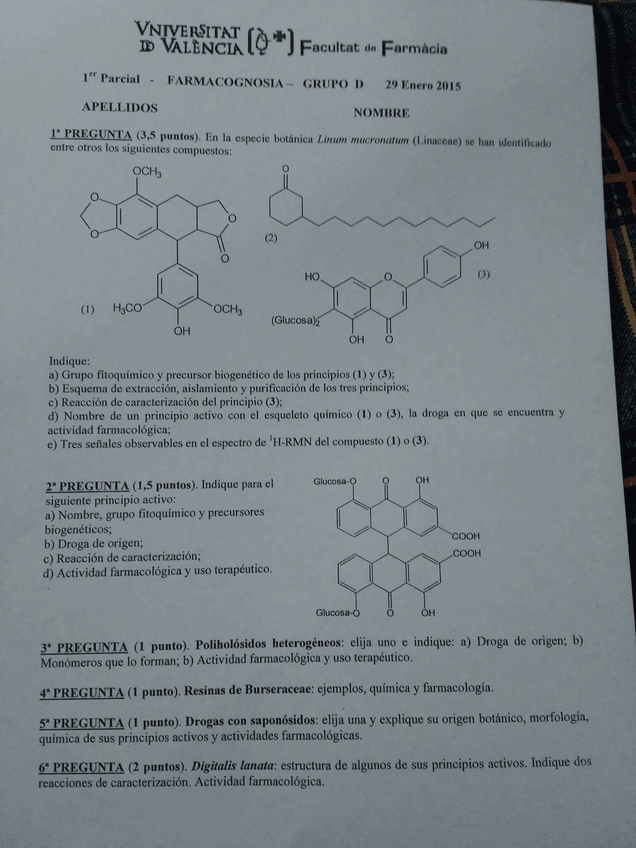 Miniatura del documento received_1821628148108136.jpeg
