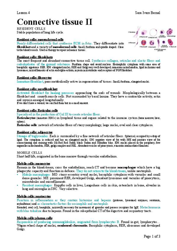 Miniatura del documento 4.pdf