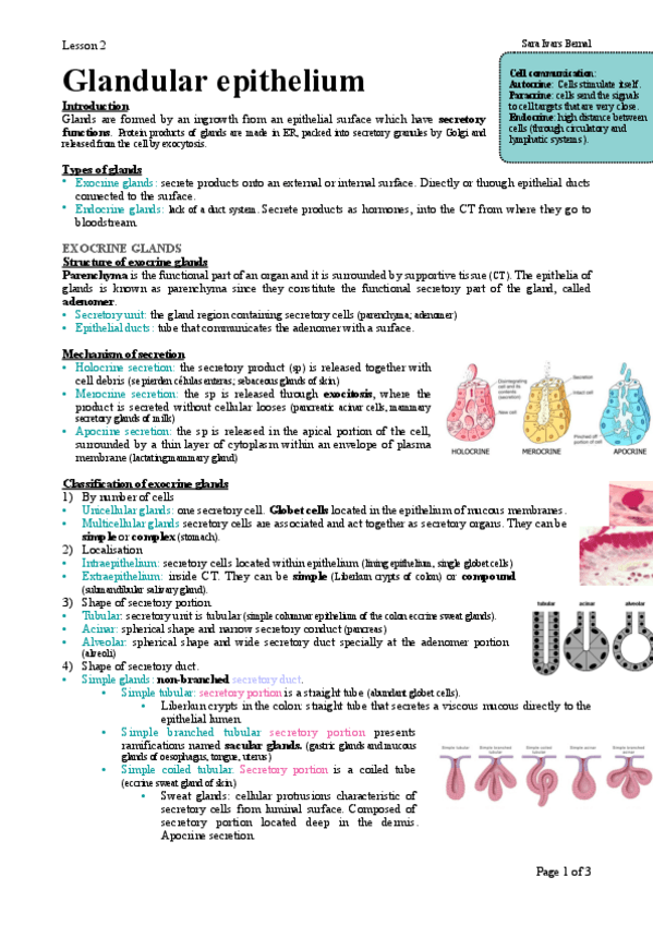 Miniatura del documento 2.pdf