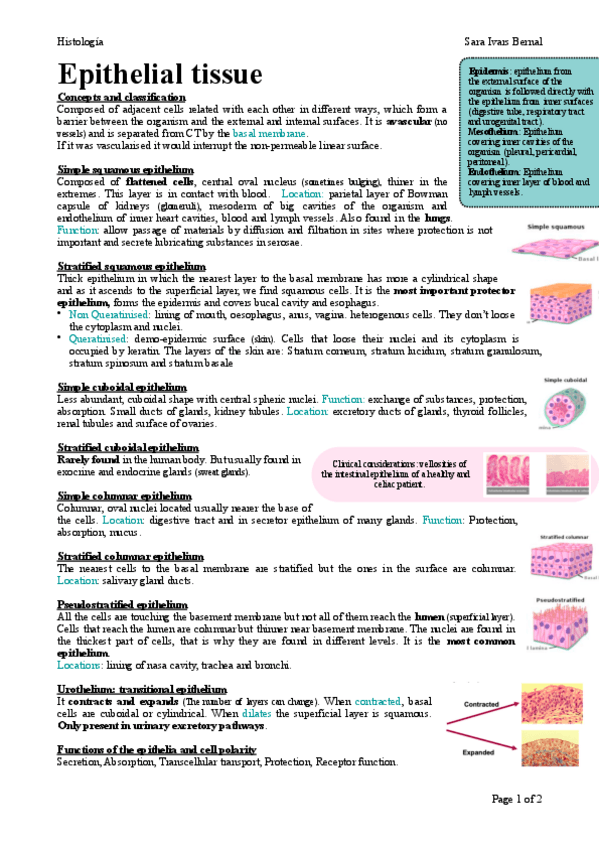 Miniatura del documento 1.pdf