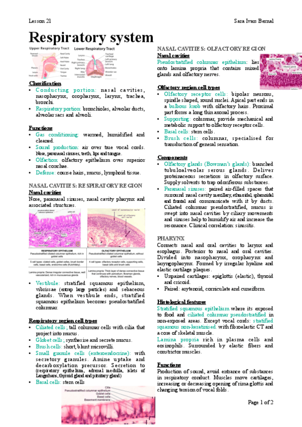 Miniatura del documento 21.pdf