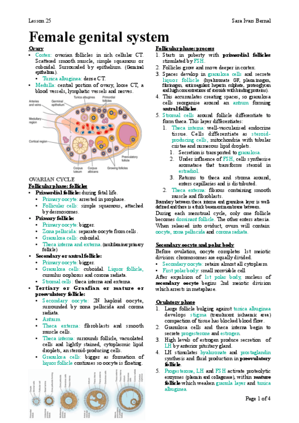 Miniatura del documento 25.pdf