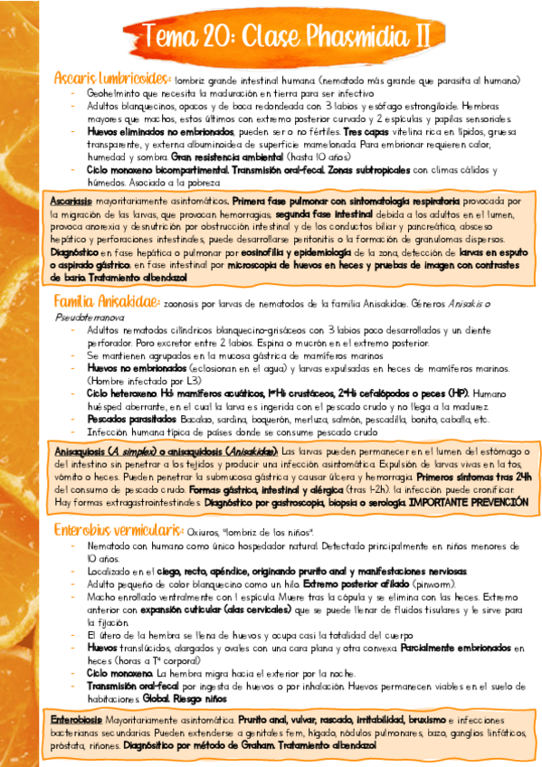 Miniatura del documento Resumen-PARA-T20.pdf