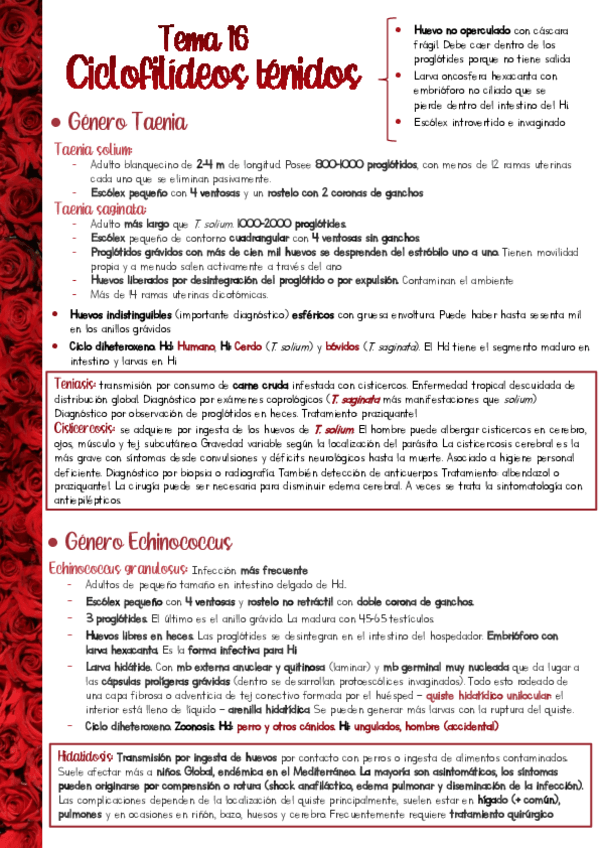 Miniatura del documento Resumen-PARA-T16.pdf