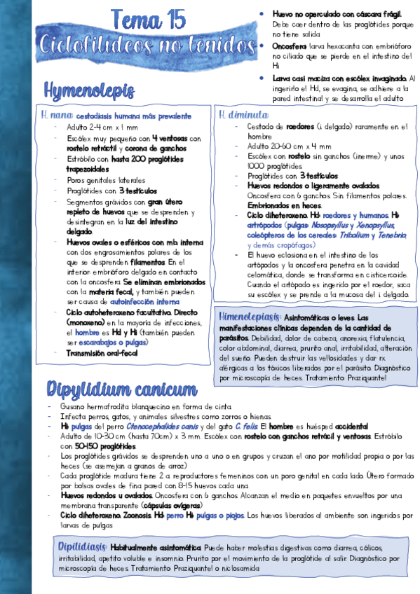 Miniatura del documento Resumen-PARA-T15.pdf