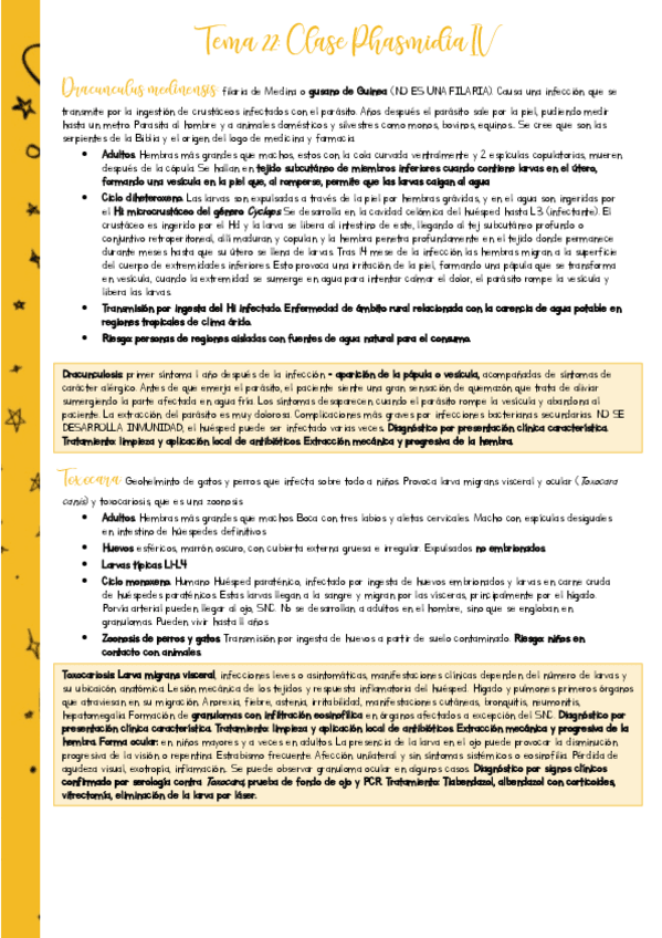 Miniatura del documento Resumen-PARA-T22.pdf