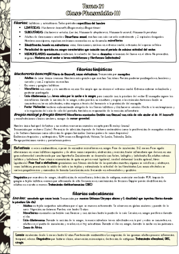 Miniatura del documento Resumen-PARA-T21.pdf