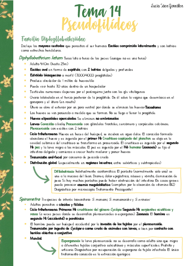 Miniatura del documento Resumen-PARA-T14.pdf