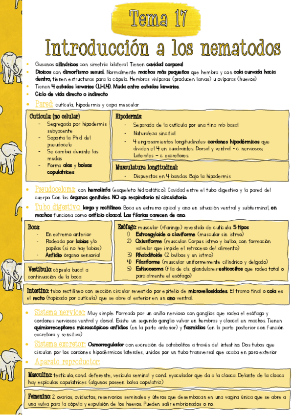 Miniatura del documento Resumen-PARA-T17.pdf