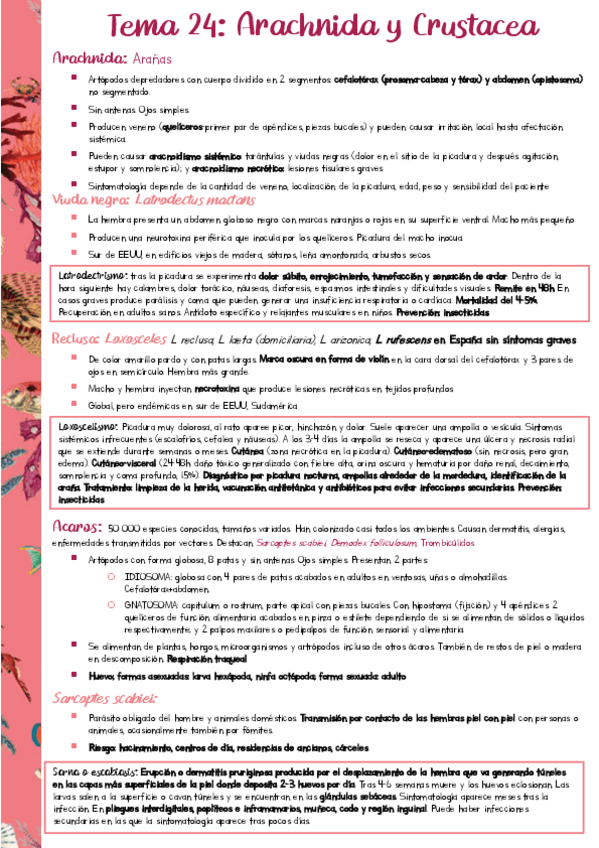 Miniatura del documento Resumen-PARA-T24.pdf