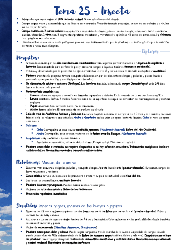 Miniatura del documento Resumen-PARA-T25.pdf