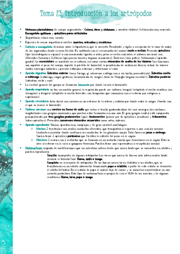 Miniatura del documento Resumen-PARA-T23.pdf