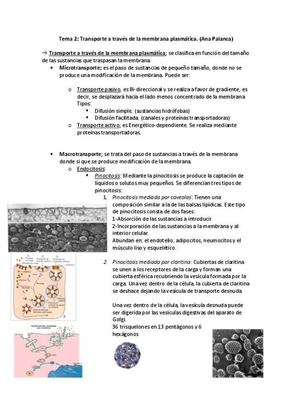 Miniatura del documento Tema-2.pdf