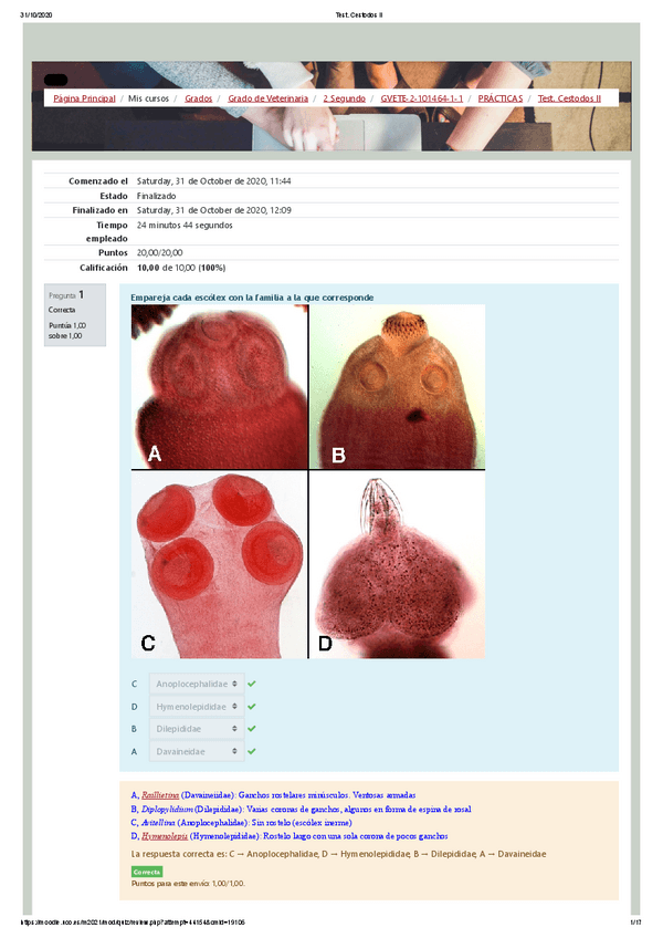 Miniatura del documento Test-5-Cestodos-II.pdf