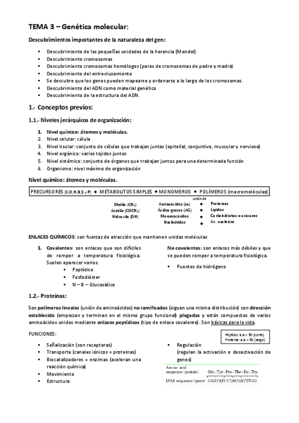 Miniatura del documento TEMA-3-GENETICA-MOLECULAR.pdf