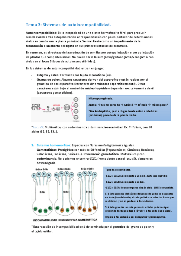 Miniatura del documento Tema-3-Autoincompatibilidad.pdf
