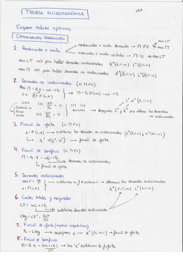 Miniatura del documento Apuntes-microeconomia.pdf