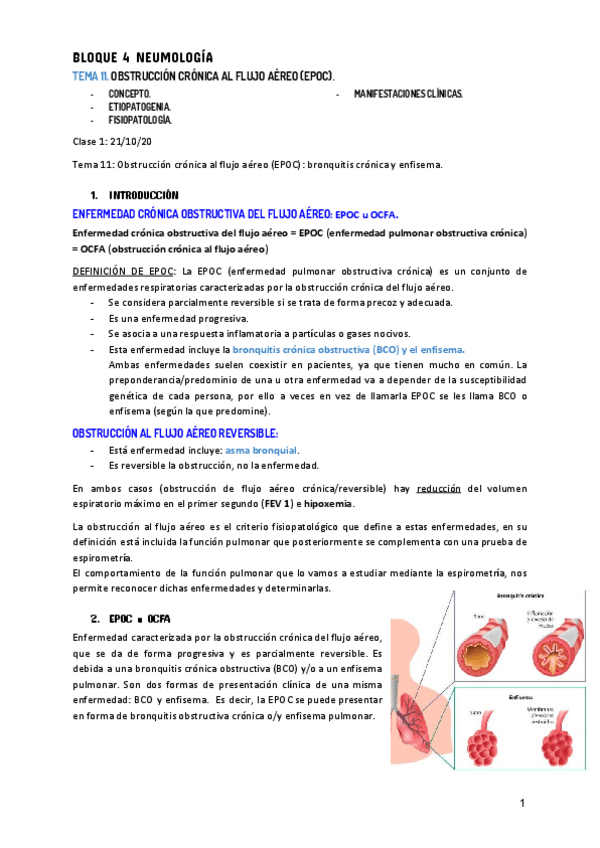 Miniatura del documento TEMA-11.pdf