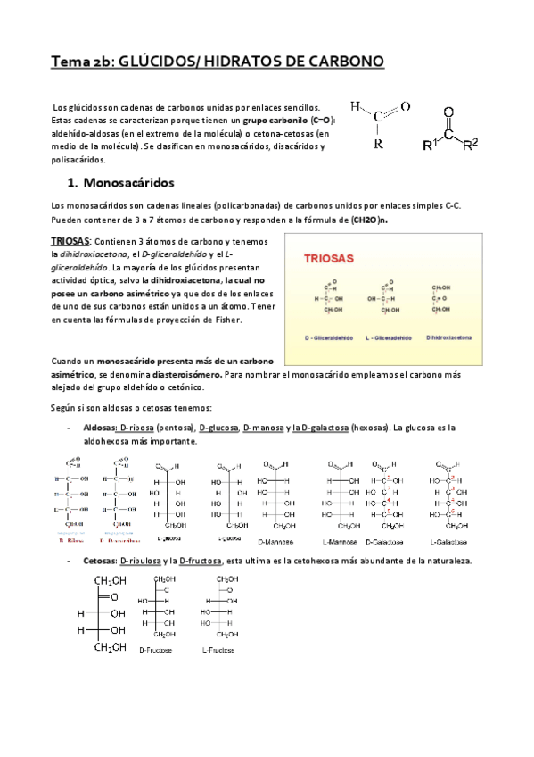 Miniatura del documento Tema-2b.pdf